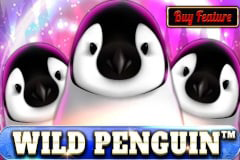 Wild Penguin