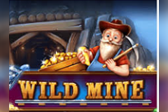 Wild Mine