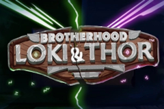 Loki & Thor Brotherhood