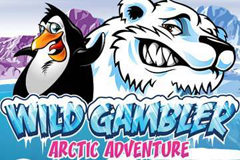 Wild Gambler Artic Adventure