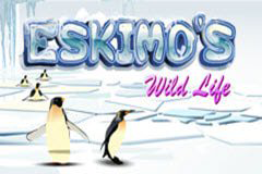 Eskimo's Wild Life