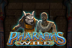 Pharaoh's Wild