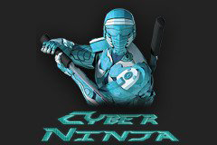 Cyber Ninja