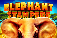 Elephant Stampede