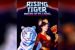 Rising Tiger Sheng Qi De Laohu