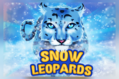 Snowy Leopards
