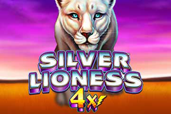 Silver lioness 4x