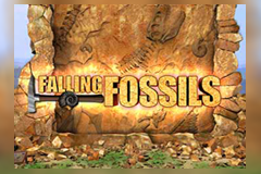Falling Fossils