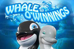 Whale O' Winnings