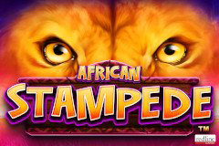 African Stampede