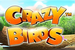 Crazy Birds