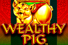 Wealthy Pig