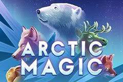Artic Magic