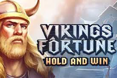 Viking Fortune Hold and Win