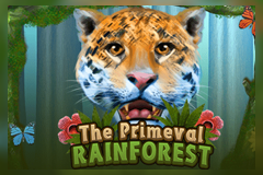 The primeval Rainforest